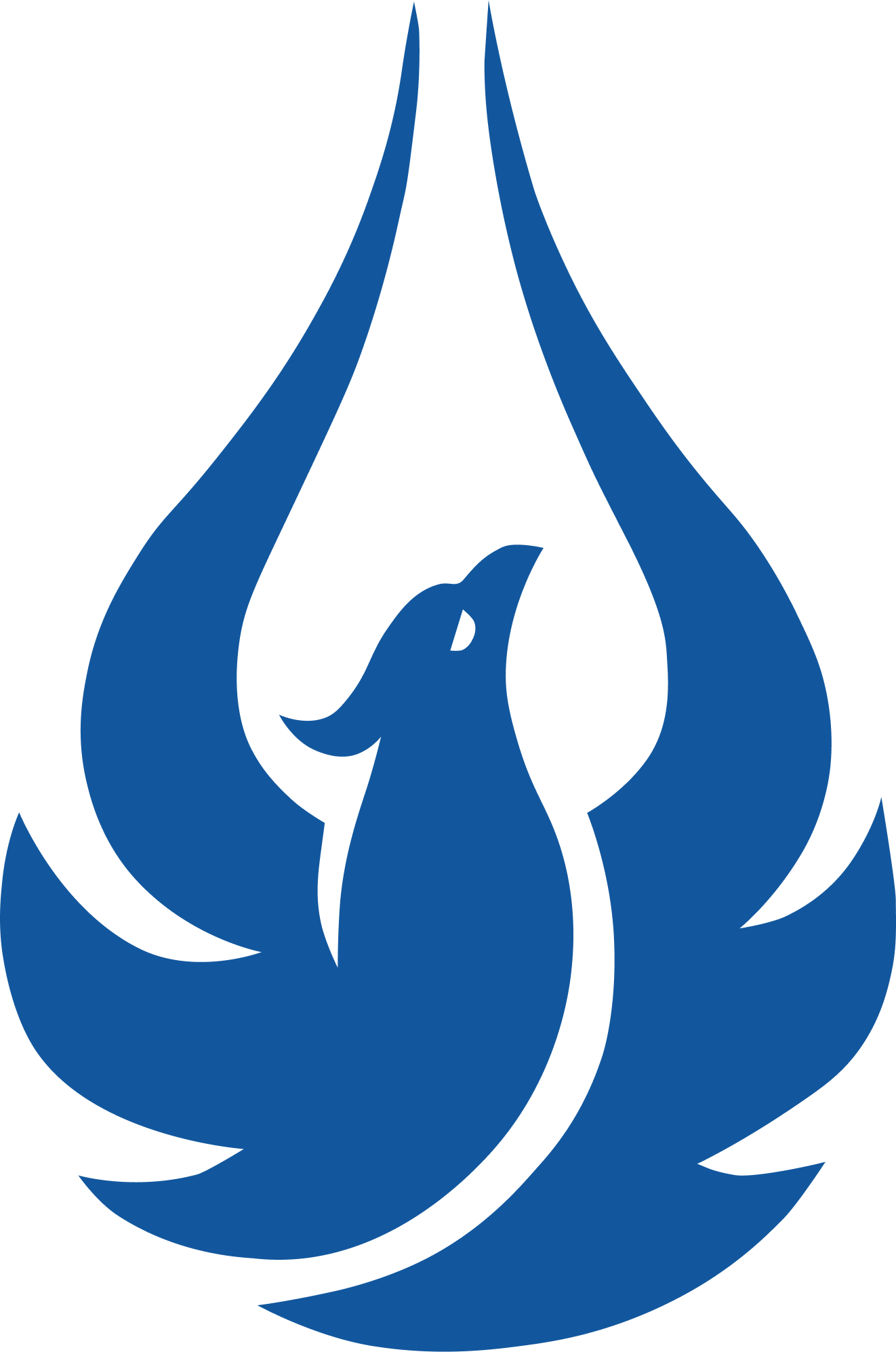 blue AquaPhoenix logo