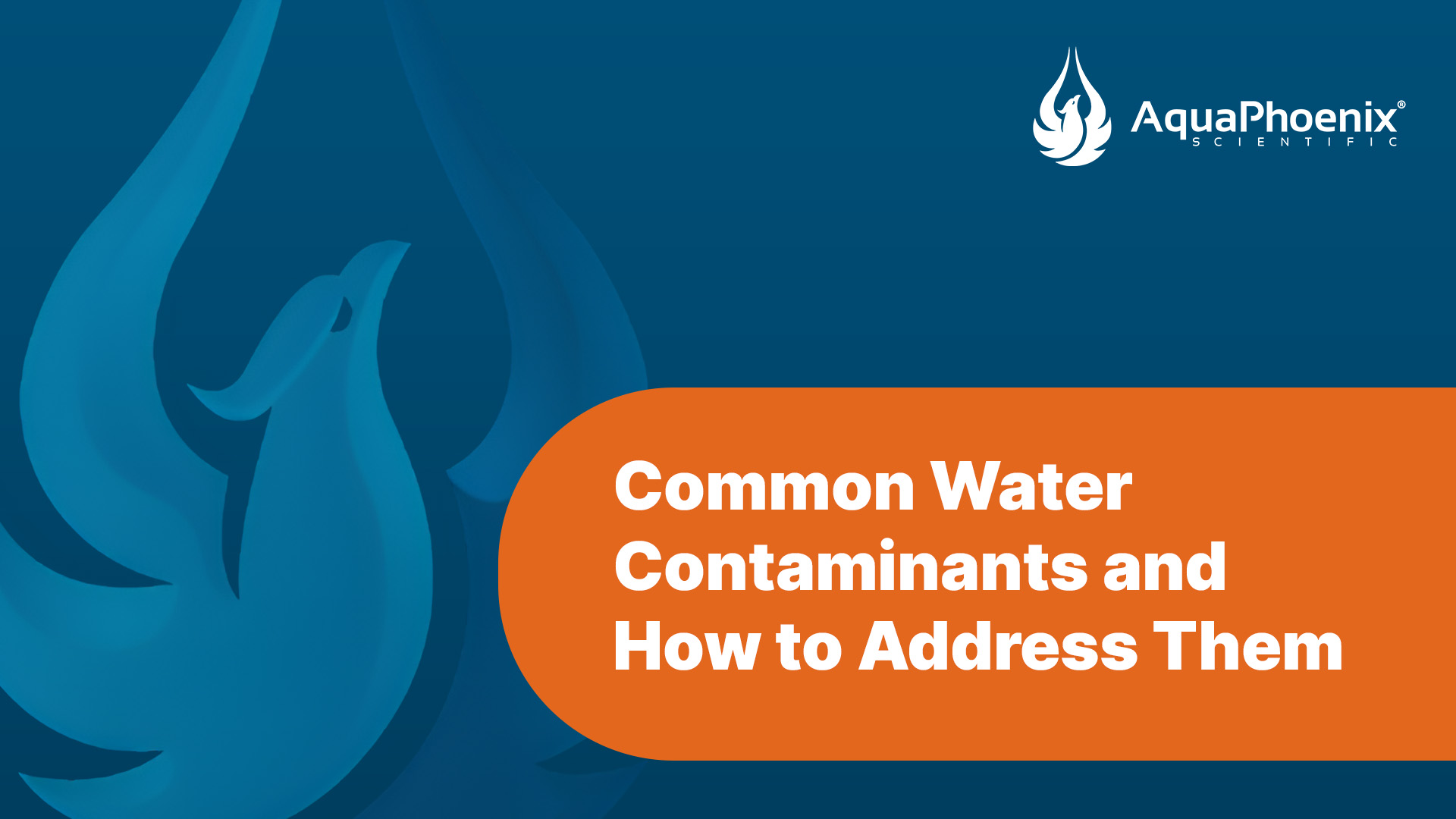 Common Water Contaminants and How to Address Them