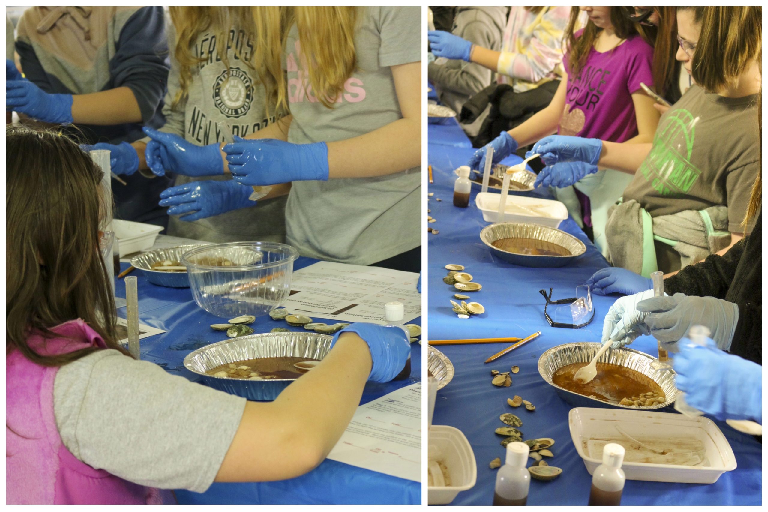 students from a local school completing a science-based activity at AquaPhoenix